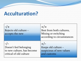 Acculturation model