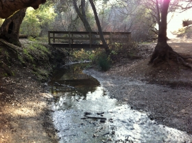 creek, Rancho San Antonio